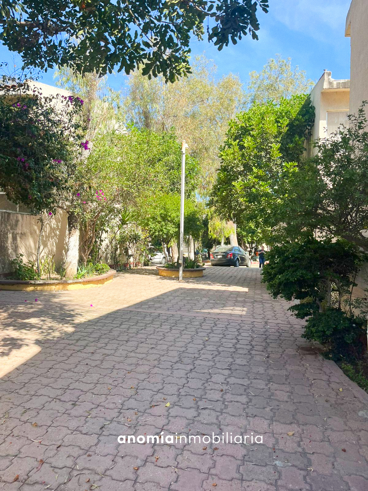 Imagen de WhatsApp 2025-07-21 a las 135932_9bf89a55 Casa en Venta Tijuana: en Flamingos por $3,300,000 MXN